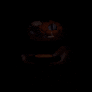 Granos de café tostándose en máquina giratoria.