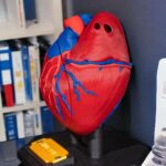 Modelo impreso de corazón humano en 3D