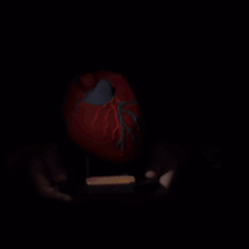 Corazón humano iluminado en la oscuridad