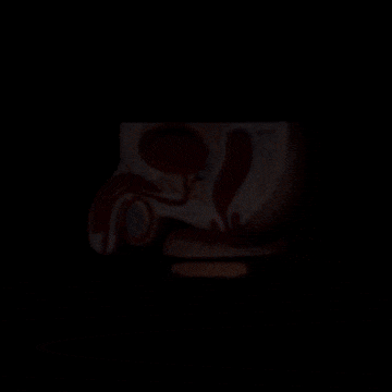 Sistema reproductor masculino