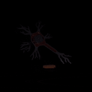 Animación de una neurona en 3D giratoria.