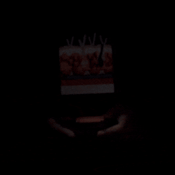 Modelo de sección de piel con capas visibles.