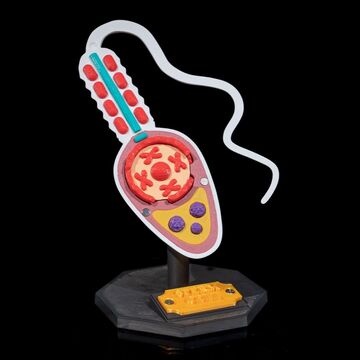 Modelo educativo de mitocondria en 3D multicolor