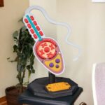 Modelo de espermatozoide a gran escala en diseño colorido.