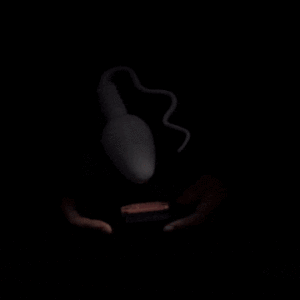 Sperm_Cell_c5615c7cd7-ezgif.com-optimize