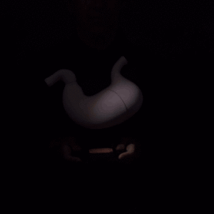 Stomach_Anatomical_Model_02cf18501a-ezgif.com-resize