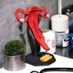 Modelo anatómico del útero en escritorio médico.