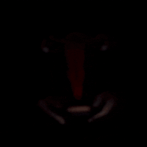 Uterus_ad1bd1e33e-ezgif.com-optimize